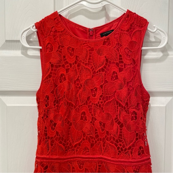 Ann Taylor Lace Dress - Picture 3 of 16